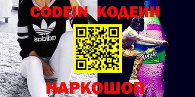 мдпв Кингисепп