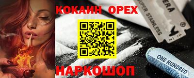 мдпв Кингисепп