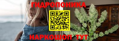 спиды Кинель