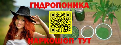 мдпв Кингисепп