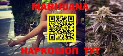 мдпв Кингисепп